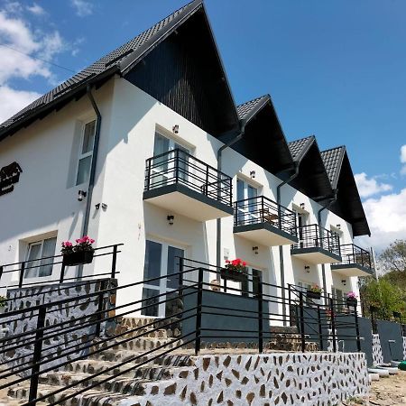 Hotel Conacul Doamnei Nucsoara Zewnętrze zdjęcie