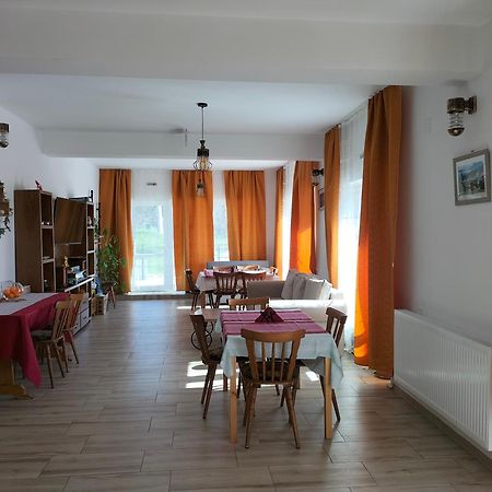 Hotel Conacul Doamnei Nucsoara Zewnętrze zdjęcie