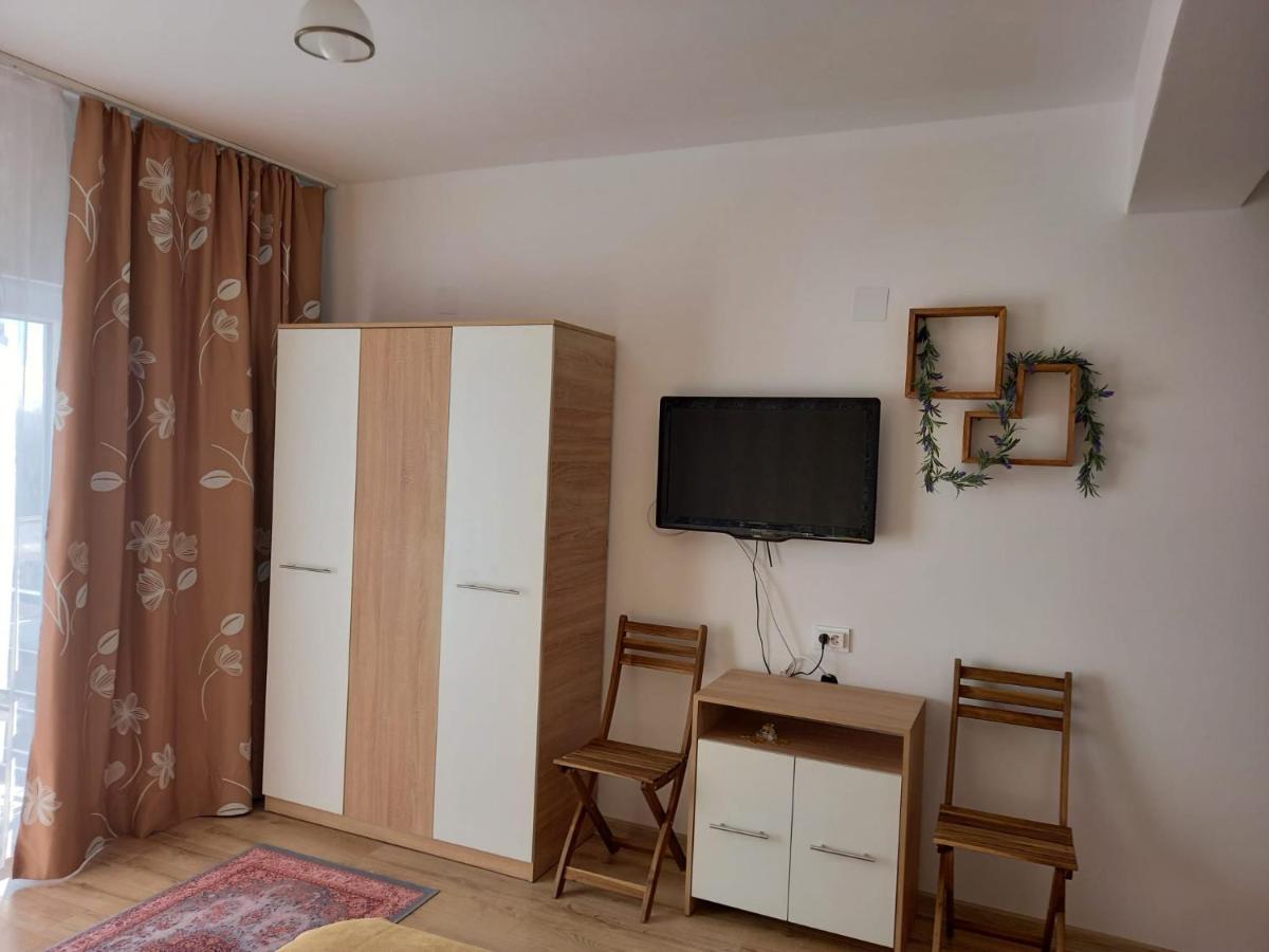 Hotel Conacul Doamnei Nucsoara Zewnętrze zdjęcie