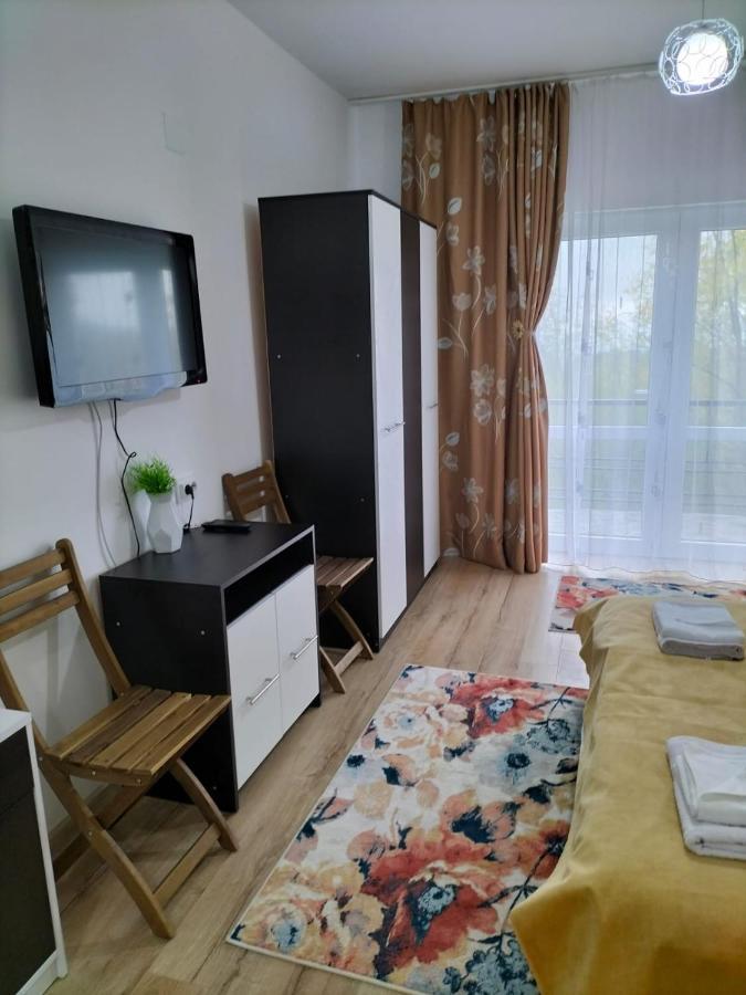 Hotel Conacul Doamnei Nucsoara Zewnętrze zdjęcie
