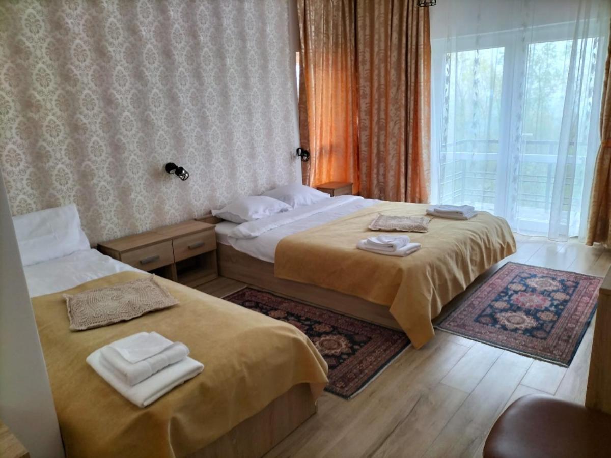 Hotel Conacul Doamnei Nucsoara Zewnętrze zdjęcie