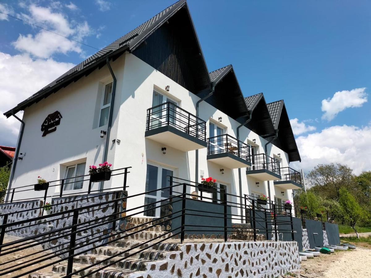 Hotel Conacul Doamnei Nucsoara Zewnętrze zdjęcie
