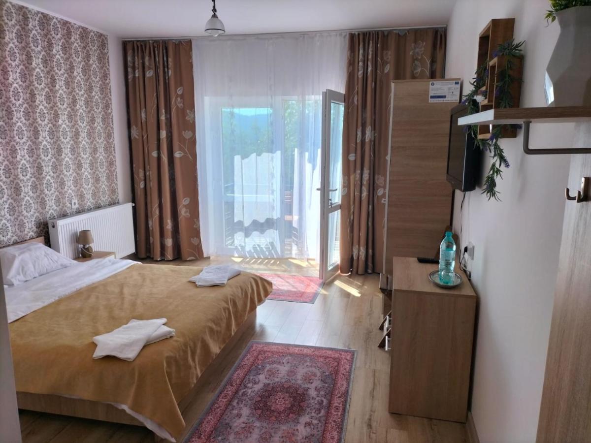 Hotel Conacul Doamnei Nucsoara Zewnętrze zdjęcie