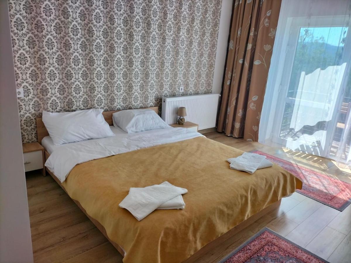 Hotel Conacul Doamnei Nucsoara Zewnętrze zdjęcie