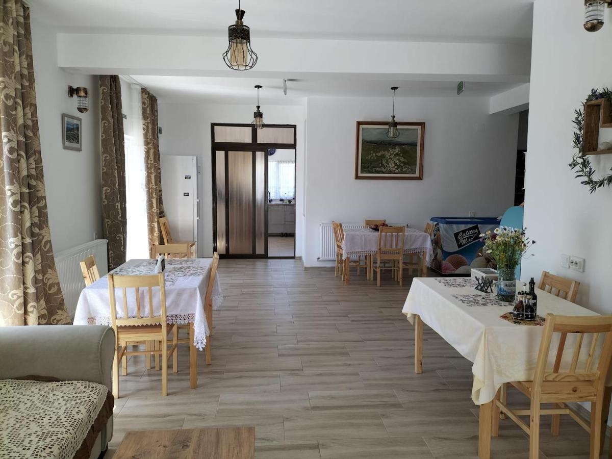 Hotel Conacul Doamnei Nucsoara Zewnętrze zdjęcie