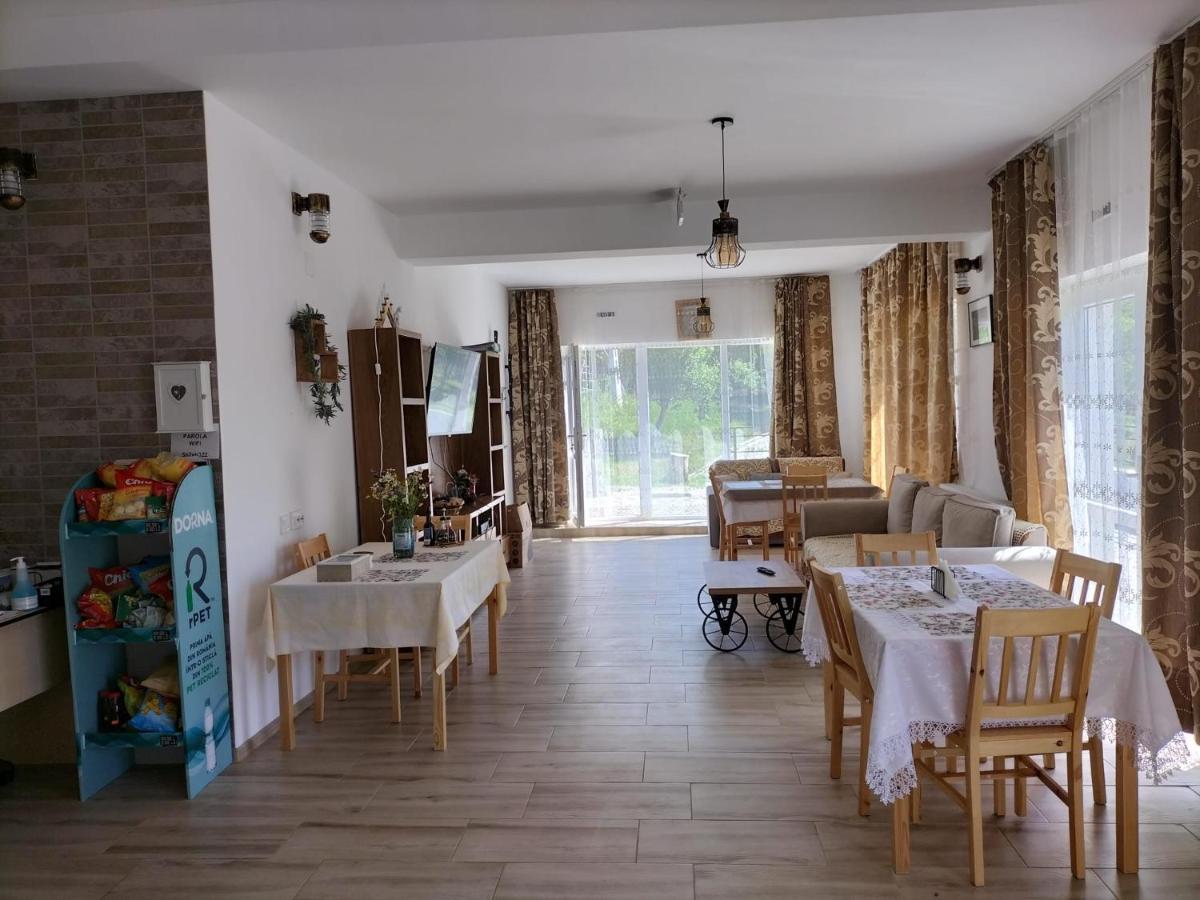 Hotel Conacul Doamnei Nucsoara Zewnętrze zdjęcie