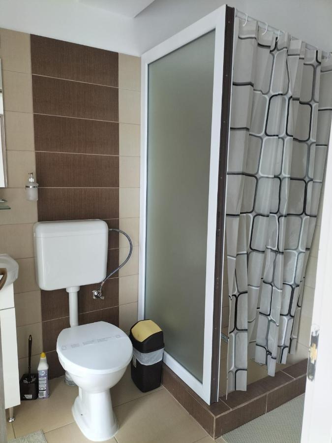 Hotel Conacul Doamnei Nucsoara Zewnętrze zdjęcie