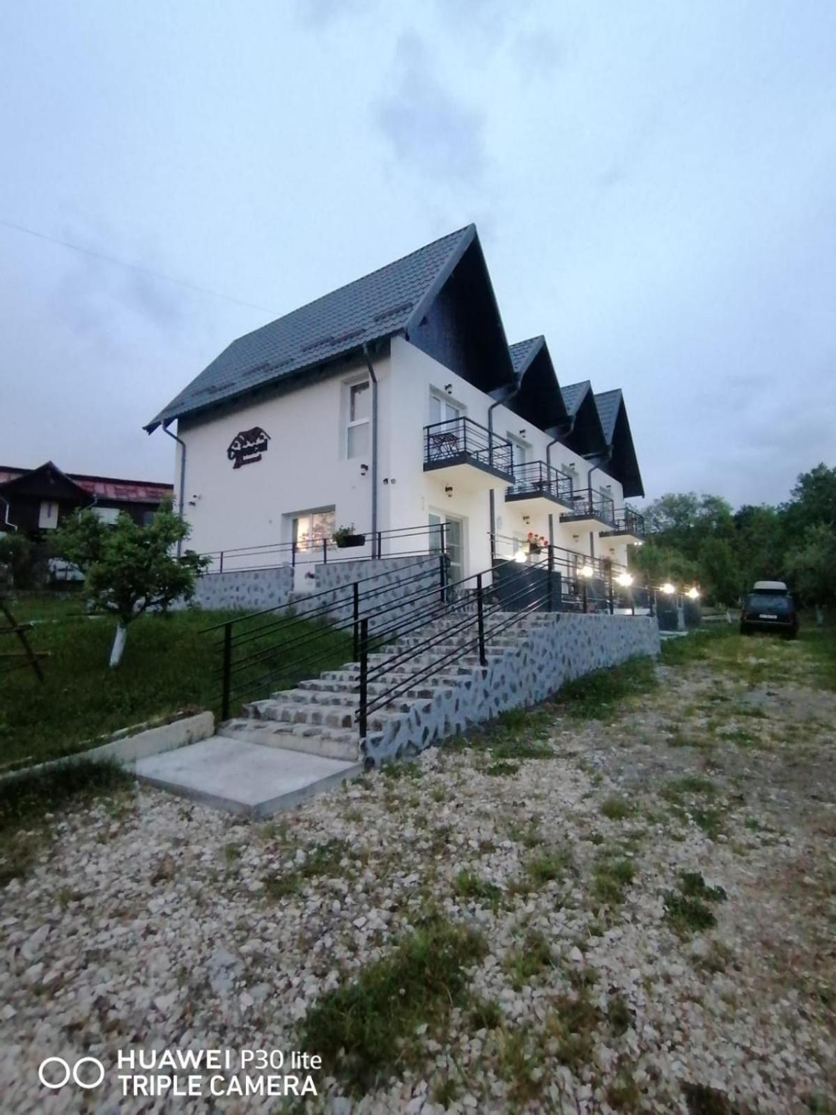 Hotel Conacul Doamnei Nucsoara Zewnętrze zdjęcie