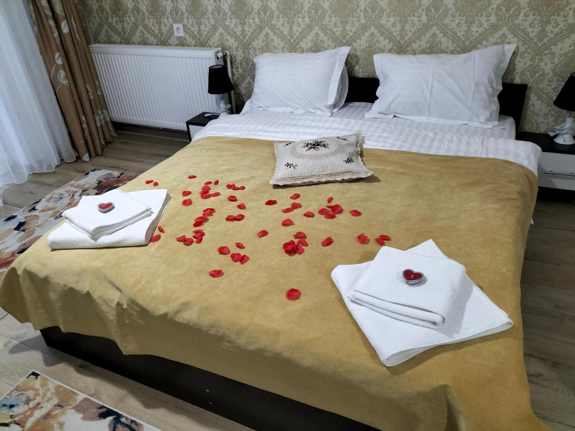 Hotel Conacul Doamnei Nucsoara Zewnętrze zdjęcie