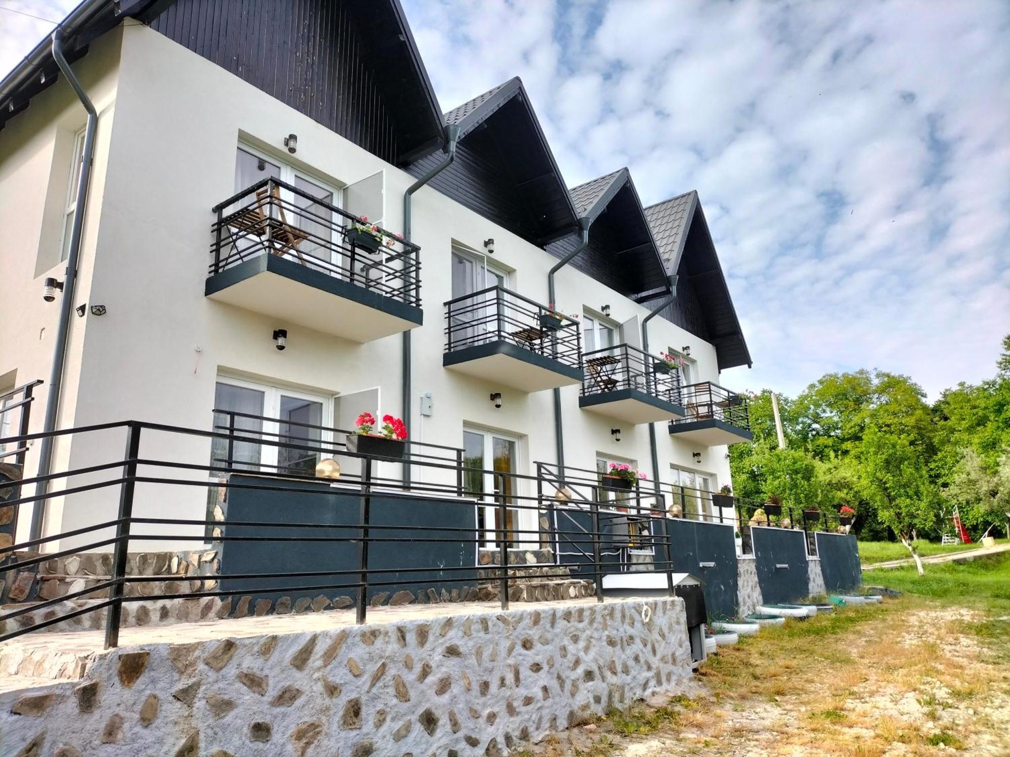 Hotel Conacul Doamnei Nucsoara Zewnętrze zdjęcie